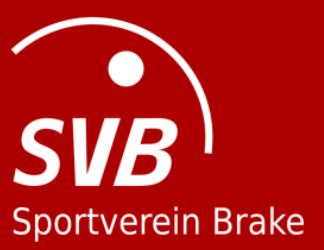Logo SV Brake